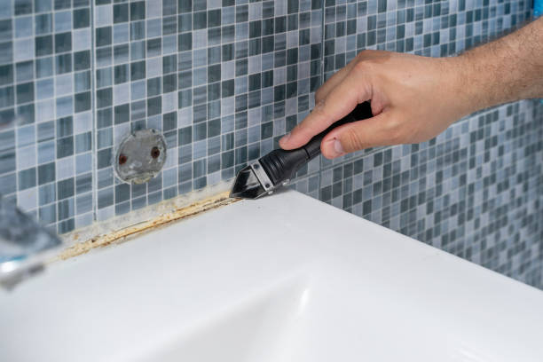 Best Localized Mold Remediation (e.g., coastal areas, humid climates) in King George, VA